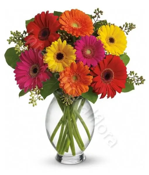 Bouquet di Gerbere colorate Fiori a Domicilio