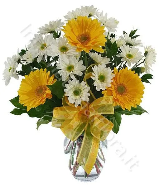 Bouquet di Gerbere gialle e Margherite bianche Fiori a Domicilio