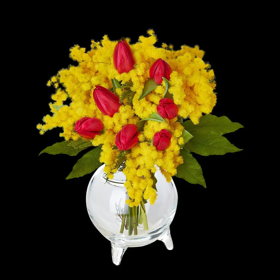 Bouquet di mimosa con tulipani rossi Fiori a Domicilio