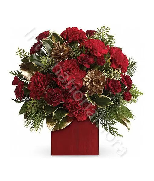 Bouquet di Natale con Garofani Fiori a Domicilio