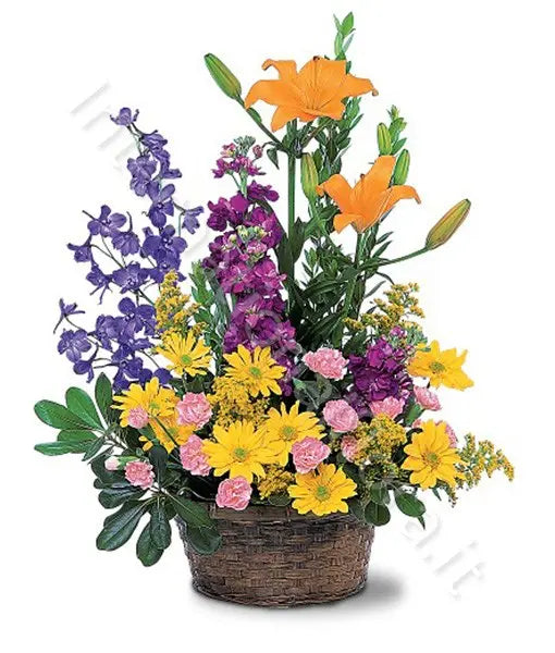 Cesto di Garofani, Margherite, Gigli e Delphinium Fiori a Domicilio
