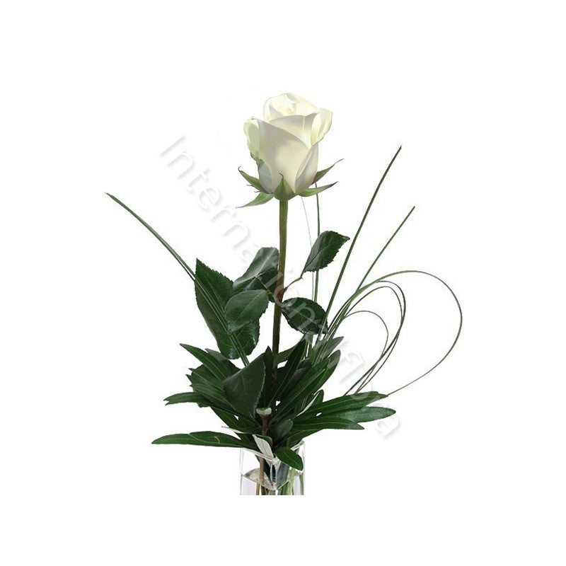 Rose bianche corte numero preciso