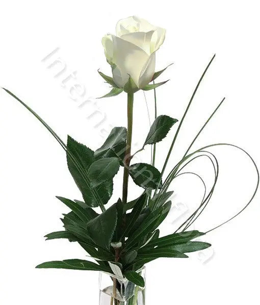 Rose bianche numero preciso