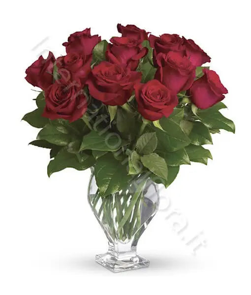 Bouquet di 12 Rose Rosse Fiori a Domicilio