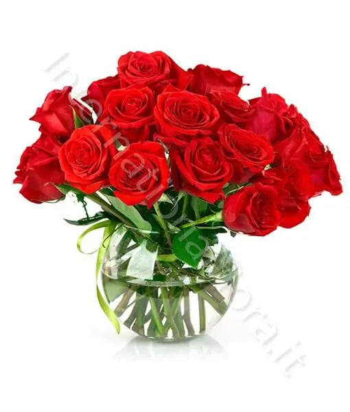 Bouquet di 18 Rose Rosse Fiori a Domicilio