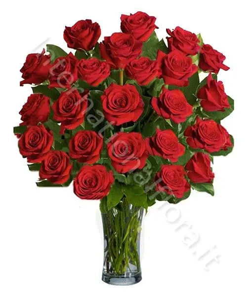 Bouquet di 24 Rose Rosse Fiori a Domicilio