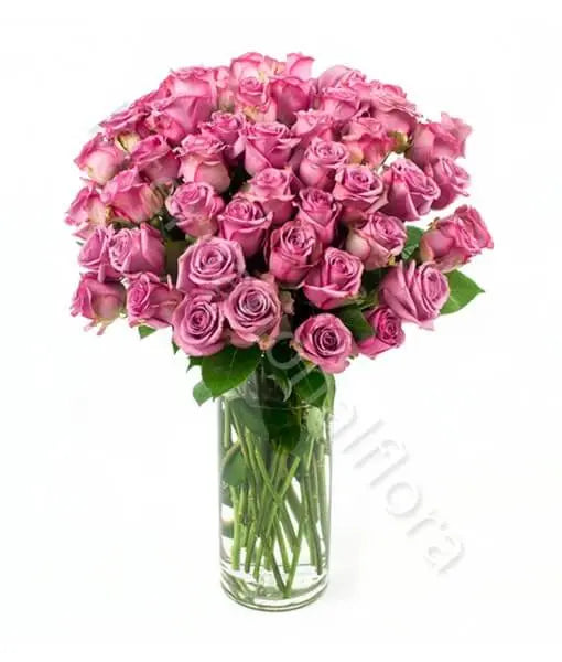 Bouquet di 50 Rose rosa Fiori a Domicilio