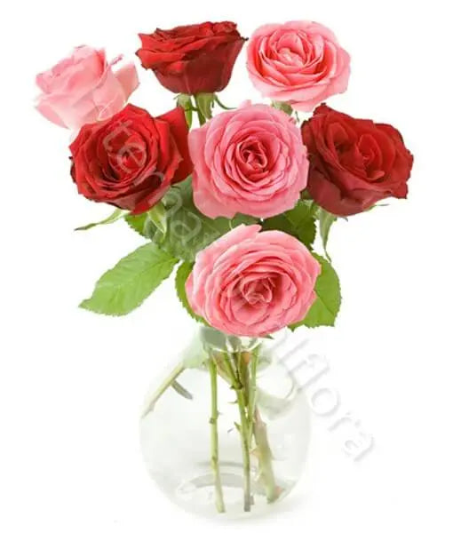 Bouquet di 7 Rose rosse e rosa Fiori a Domicilio