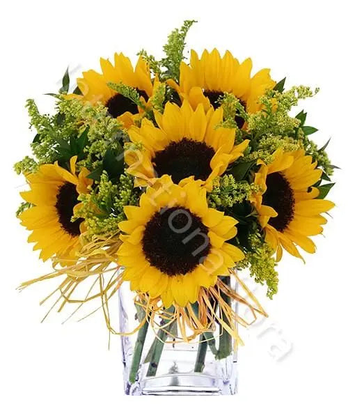 Bouquet di Girasoli Fiori a Domicilio