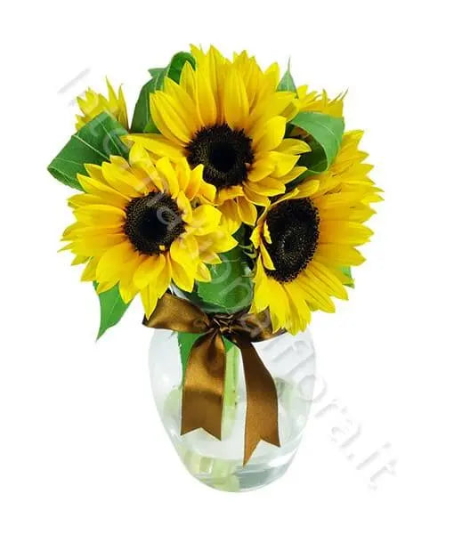 Bouquet di Tre Girasoli Fiori a Domicilio