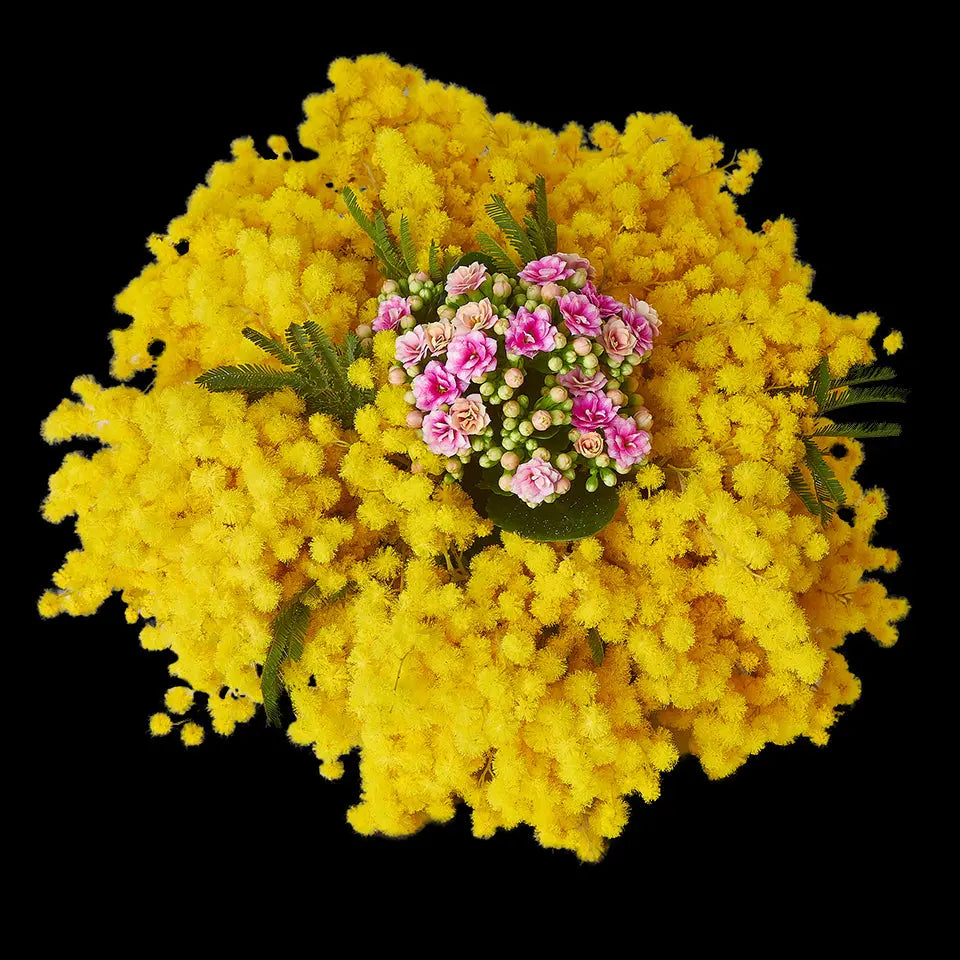 Composizione di mimosa e calancola rosa Fiori a Domicilio