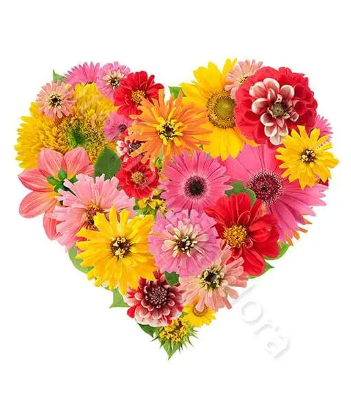 Cuore di Gerbere e Fiori colorati Fiori a Domicilio