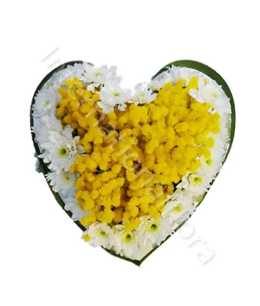 Cuore di Mimose e Margherite Fiori a Domicilio