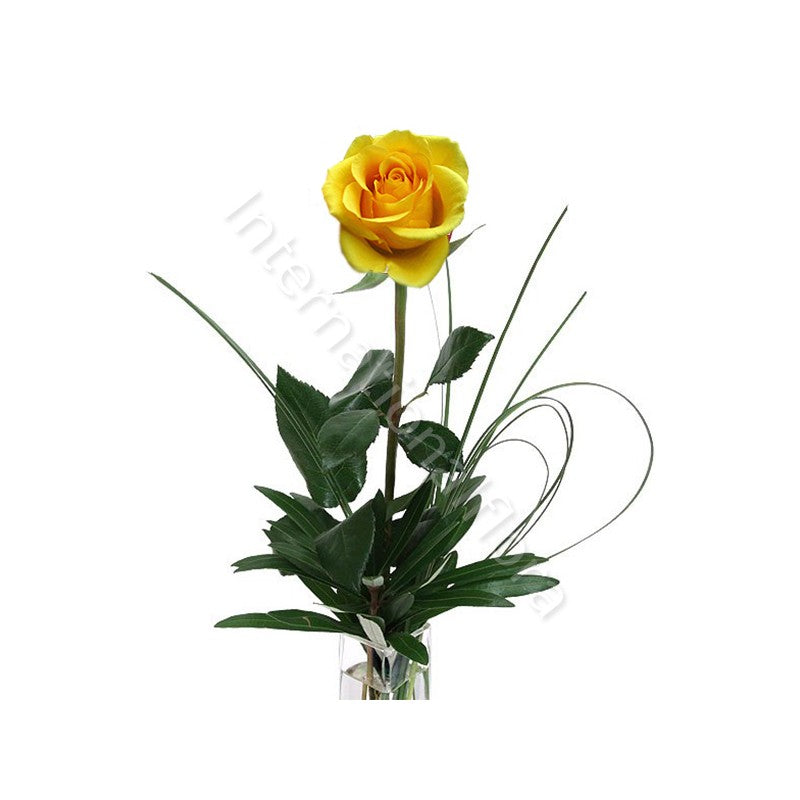 Rose gialle corte numero preciso