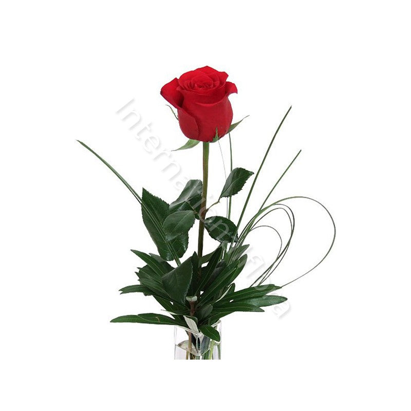 Rose rosse corte numero preciso
