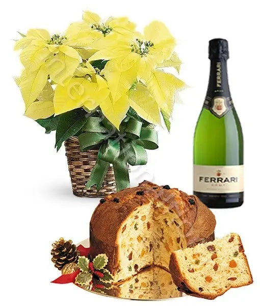 Stella di Natale gialla con Panettone e Spumante Fiori a Domicilio