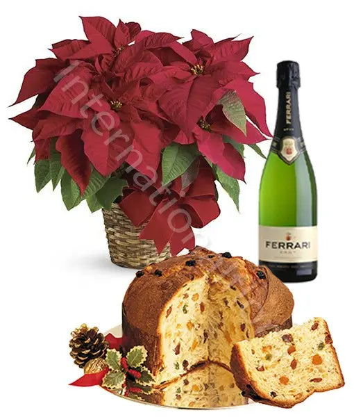 Stella di Natale rossa con Panettone e Spumante Fiori a Domicilio